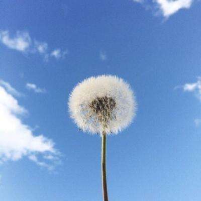挂机华夏手游