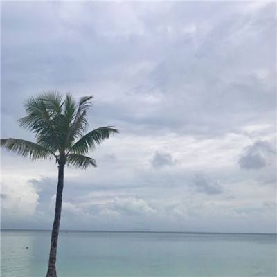 翻滚吧天神测试版下载
